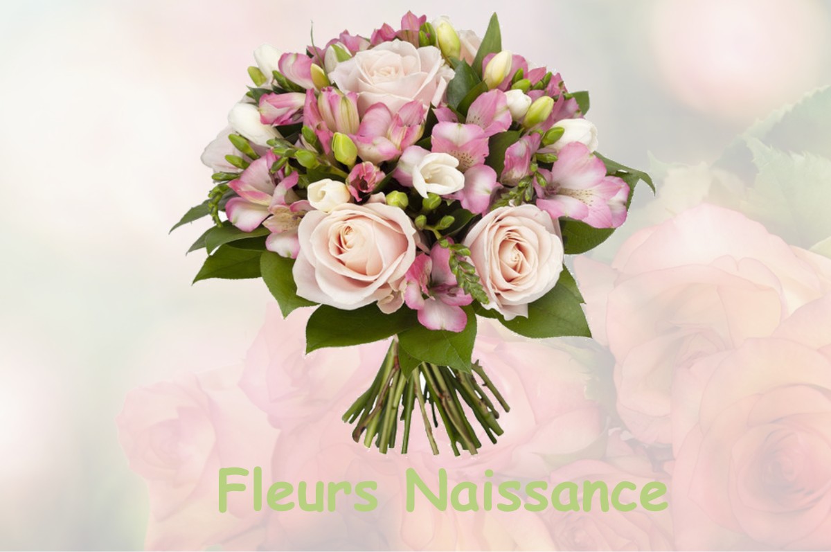 fleurs naissance ROISSY-EN-FRANCE